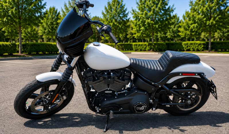 2024 Harley-Davidson FXBBS Street Bob full