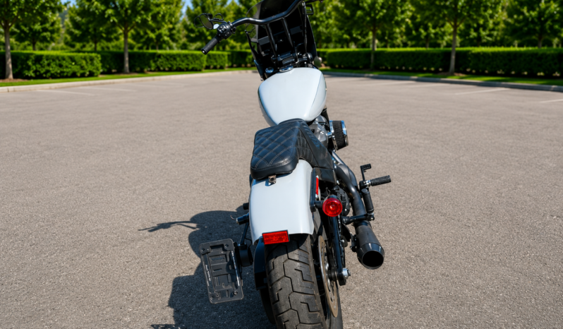 2024 Harley-Davidson FXBBS Street Bob full
